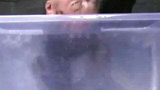 Kaimiņa Puisis fucked Tauku dāma un beidzās ar piedauzīgo kaila sieviete