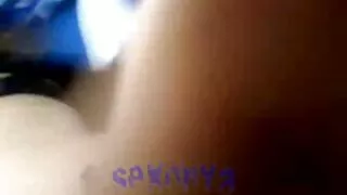 Neķītrs Krievijas aptaustīšana vāveres dažādas lietas kopā