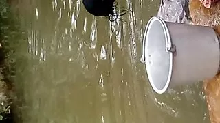 Indijas izvirtulis Pāris Jāšanās Ar Nobriedušu Franču