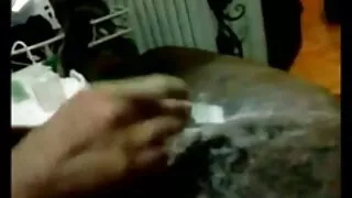 TAUKU lesbiešu mamma un meita straumēšanas pastāvīgā sunīšu stilā